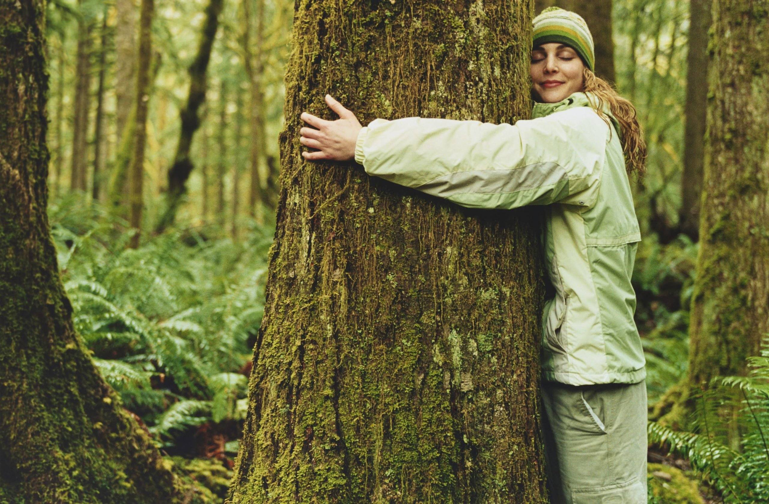 Terapia Forestal